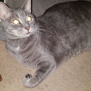 New items coming soon